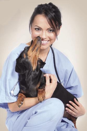 Lost but always found — The benefits of microchipping your pet