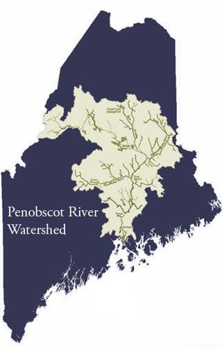 'Maine has its own Standing Rock' - The Penobscot River Fight Explained