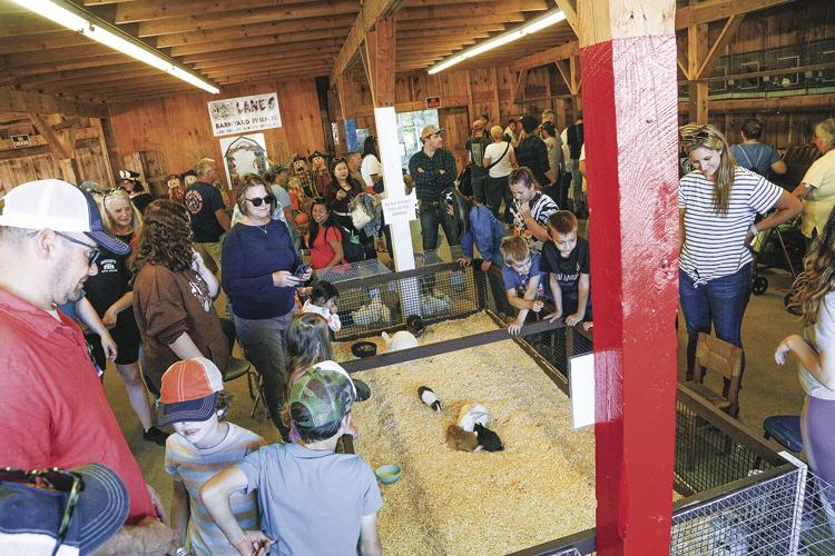 10-01-23 Fryeburg Fair macdonald farm wide