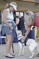 Jonesy selected for ACTS Therapy Dog Program