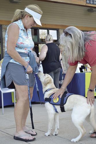 ACTS - ACTS of Compassion Therapy Dog Program - Jonesy update