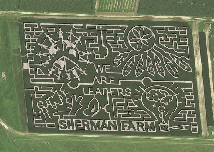 Sherman Farm Maize - aerial view of the maze