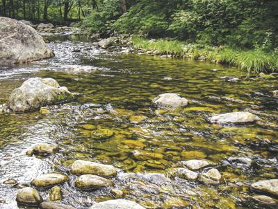 8-29-2020 Valley Angler-Trout stream