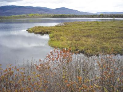 5-25-19 Parsons-Cherry Pond
