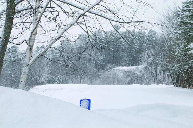 01-26-25 Snowstorm first bridge snowy field