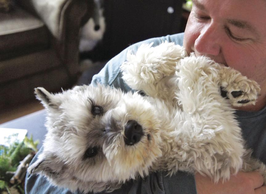 'Following Atticus,' 'Will's Red Coat' author Tom Ryan journeys on