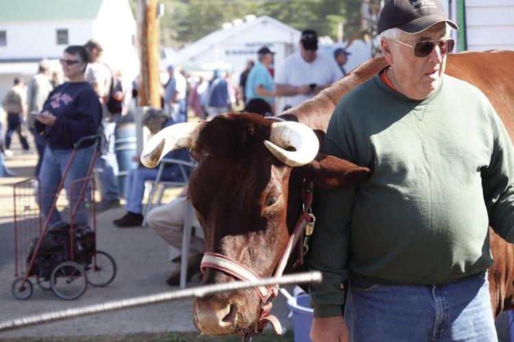 10-3-17 Frye Fair 13.JPG