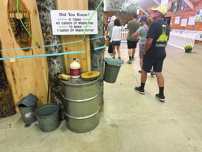 ag exhibit maple.jpg