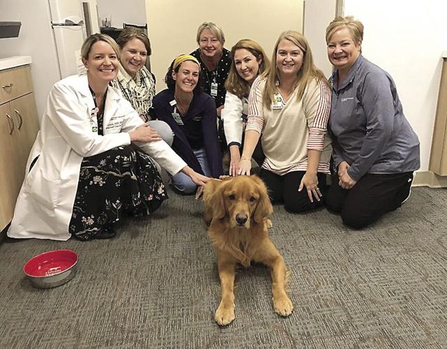 ACTS - Digger at cancer center 2
