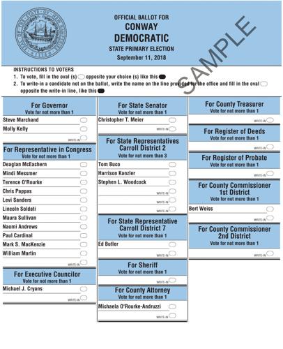 Conway sample Democrat ballot