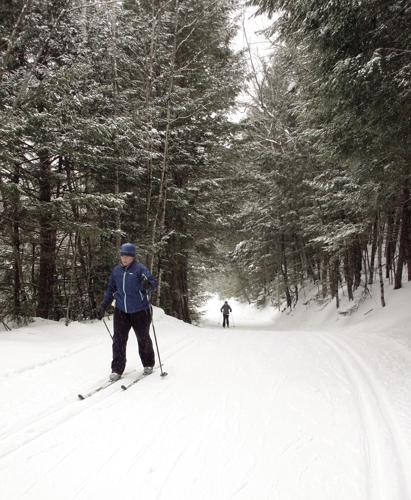 Nordic Tracks - different directions