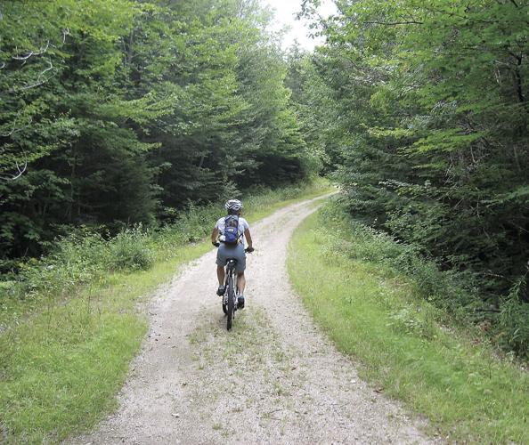 Wheel Family Fun - Rob Brook Road
