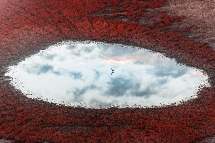 1,500 entries as aerial photography awards name winners