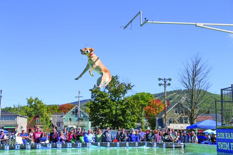 09-19-26 Bark in the Park dockdogs side