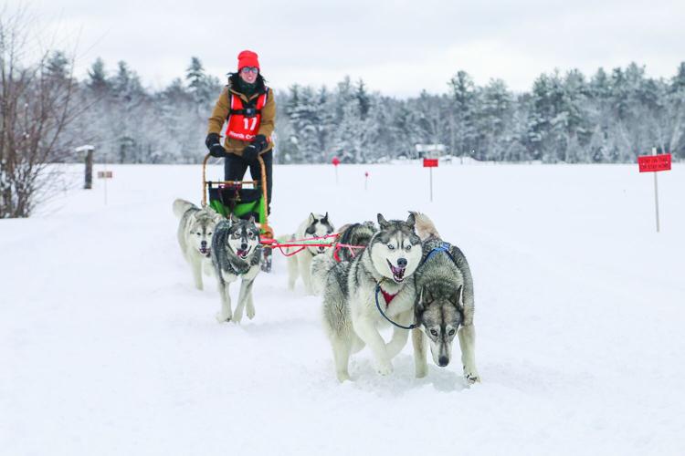 02-21-26 TOC Sled Dog head-on tighter