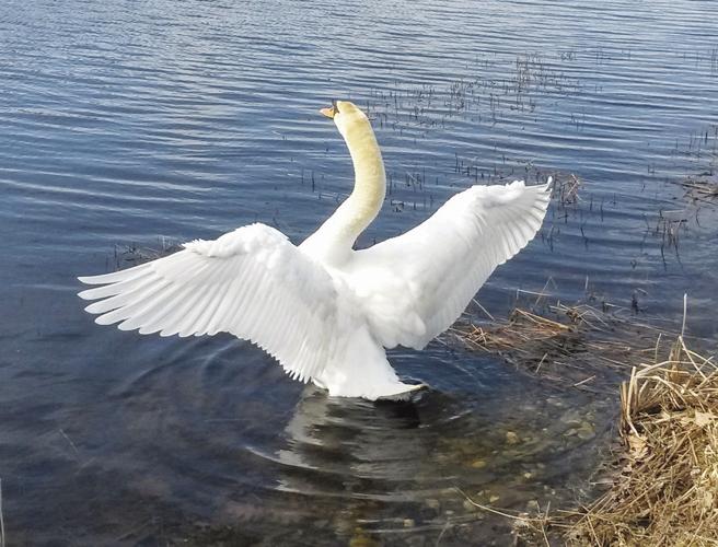 Mary Borowski Photography-3