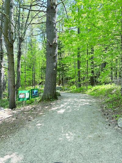 StoryWalk Returns to Pondicherry Park