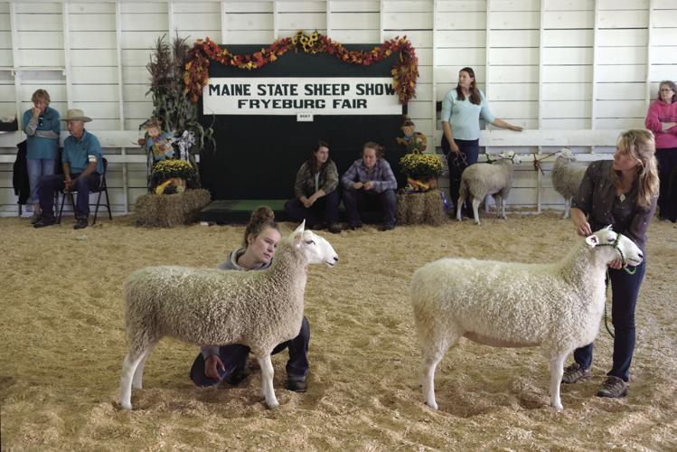 10-3-17 Frye Fair 14.JPG