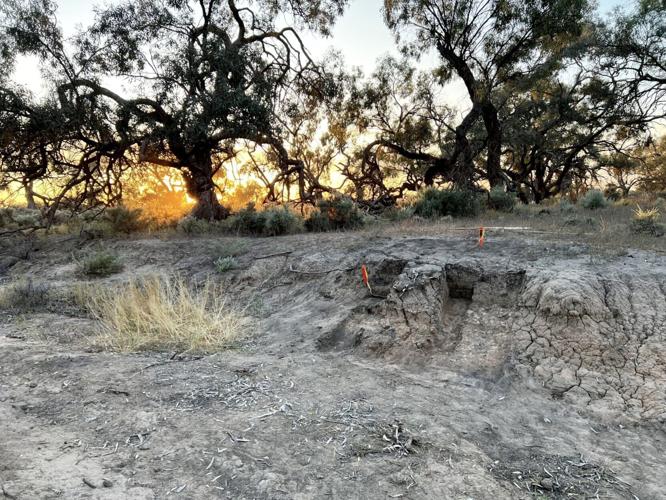 Dingo ritual burial find offers rare insight into ancient Australian cultures