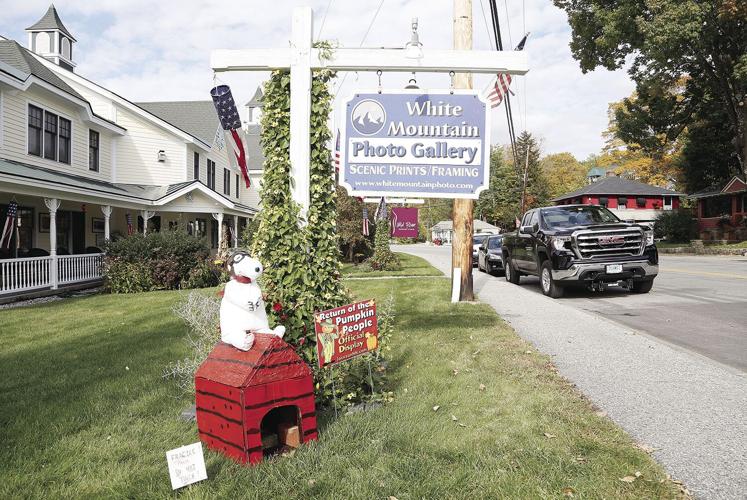 10-05-21 Pumpkins white mtn photo wide