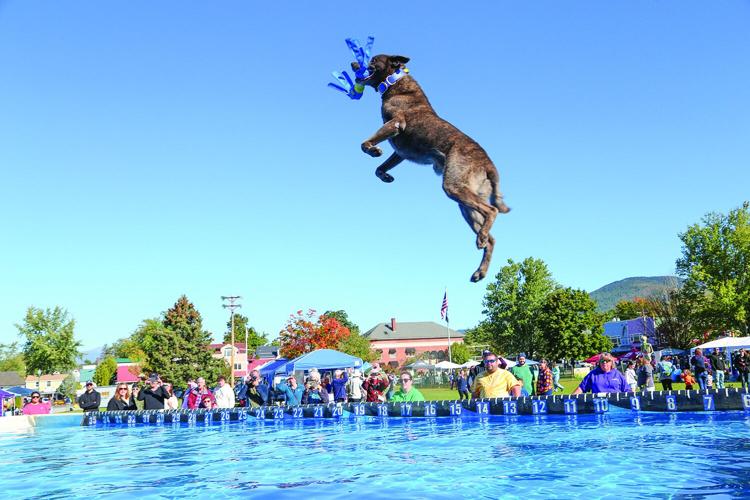 09-20-25 Bark in Park diving catch best