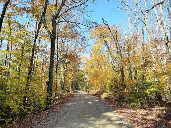 Wheel Family Fun.- foliage ride - Slippery Brook Road