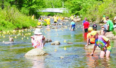 05-28-23 Wildquack wide looking north