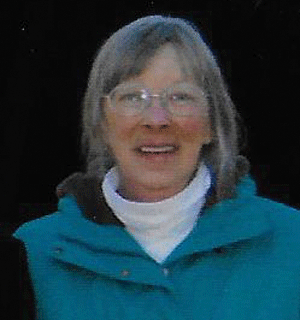 Laurie J. McInnis