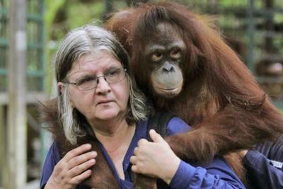 Birute Galdikas carries an orangutan named Isabel in Borneo, Indonesia. The 2011 film 'Born To Be Wild 3D' followed her work.