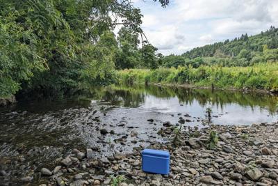 Hidden in the water is a wealth of genetic information. Jenny Whilde, CC BY-ND