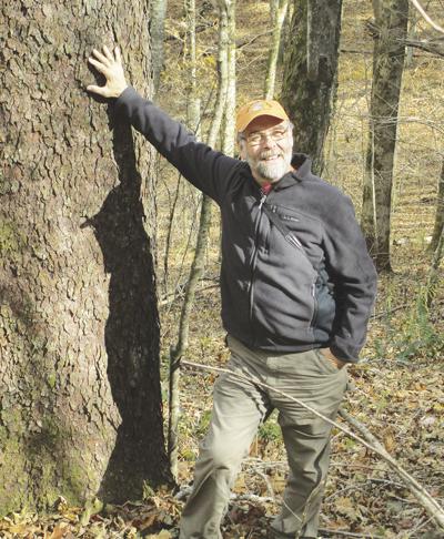 Michael Cline Memorial Forest