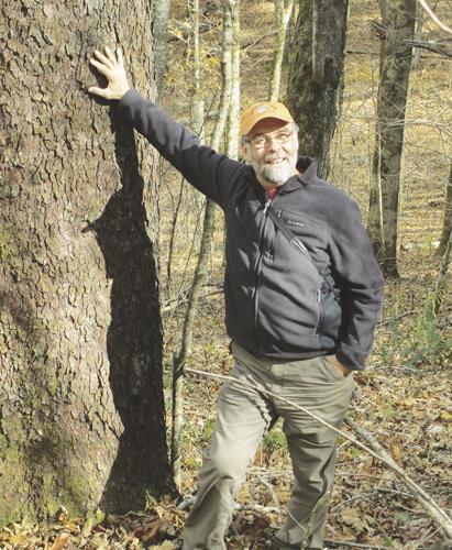 Michael Cline Memorial Forest