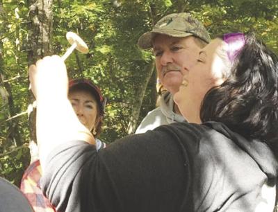 Stephanie Doyle-mushroom walk