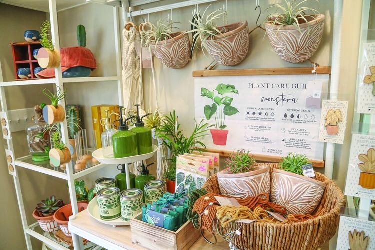 09-16-25 Poppy and Vale plant shelf medium