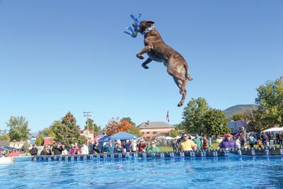09-20-25 Bark in Park diving catch best