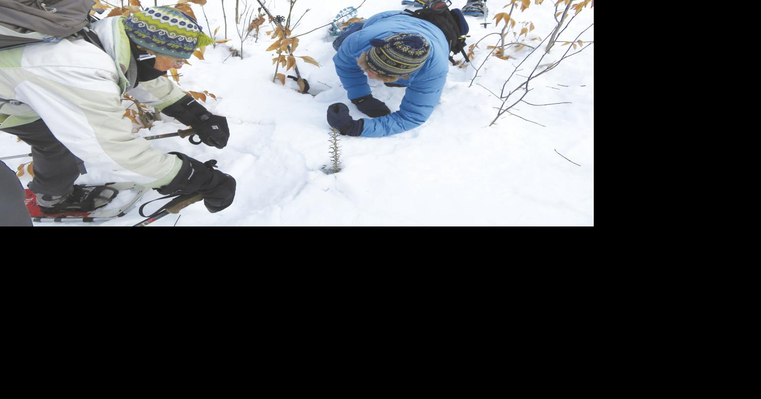 Greater Lovell Land TrustTracking Tramp