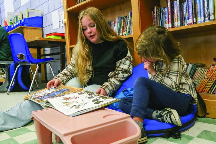 03-06-26 Buddy Reading Conway-Pine Tree pair low