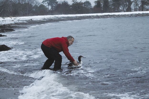 Loon preservation John Cooley
