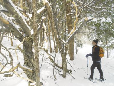 3-9-19 Parsons-Oak Ridge Trail