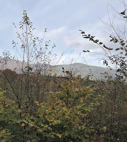 Wheel Family Fun - a rainbow