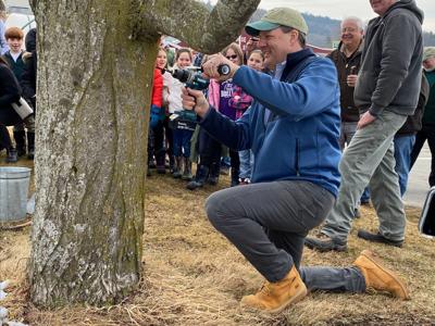 Sununu kicks of Maple Month with tree tapping ceremony