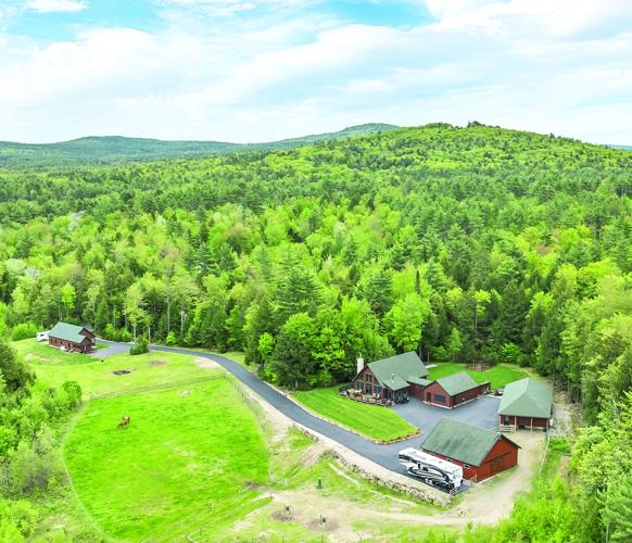 62GrayFoxRd-015 1.jpeg