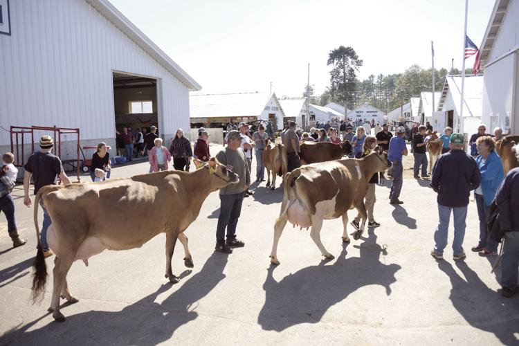 10-3-17 Frye Fair 16.JPG