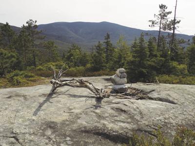 Blueberry Mountain