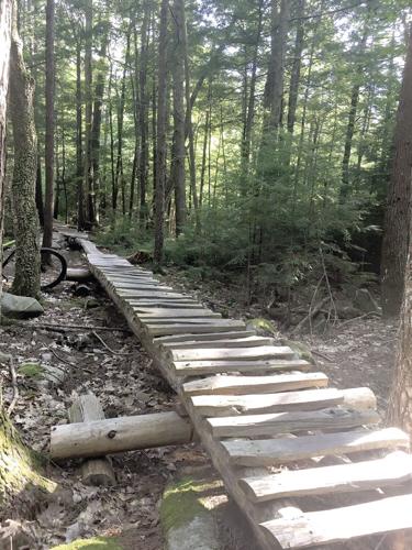 Wheel Family Fun - super long plank and log bridge on Fernald's Madison Trail