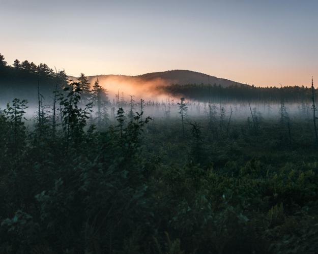 Sunrise With Dad.jpg