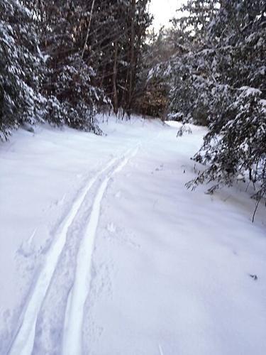 Nordic Tracks - ungroomed back-country trails