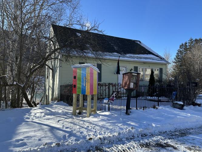The Willard Street Little Free Pantry and Library on the lawn at 511 Willard St.