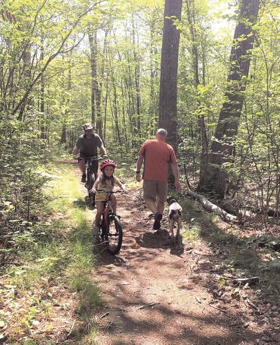 Wheel Family Fun - Albany Town Forest dog walker and cyclist