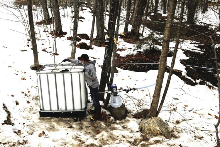 03-18-21_Maple_MacHill_7